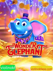 Descubra o Mundo Fascinante de WonderElephant